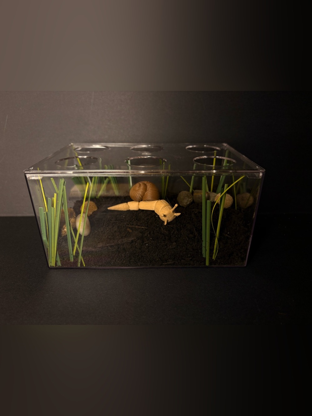 Play pretend pets snail with terrarium